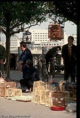 China (253 von 257).jpg